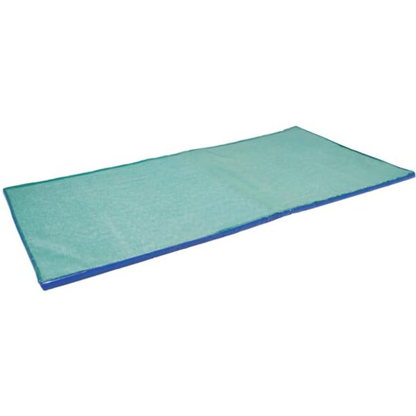 Unbranded Disinfection mat 1800 x 900 x 30 mm 1640452040