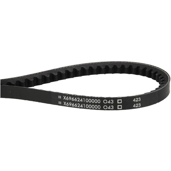 Agco V-Belt X696624100000
