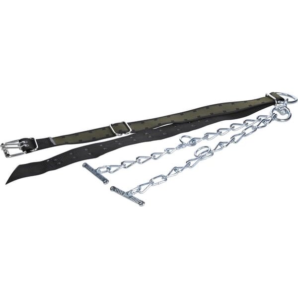 Kramp Collar for bulls 170x7cm with double chain and swivel 803062KR