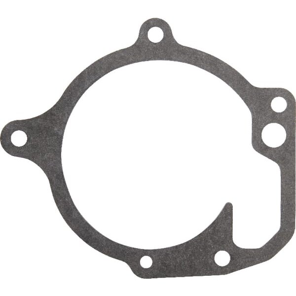 Massey Ferguson (AGCO) Water pump gaskets V836764046