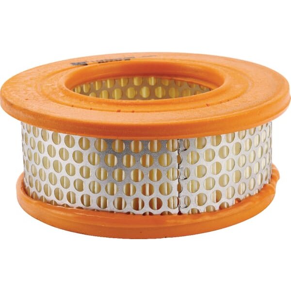 Lombardini Air filter 2175048