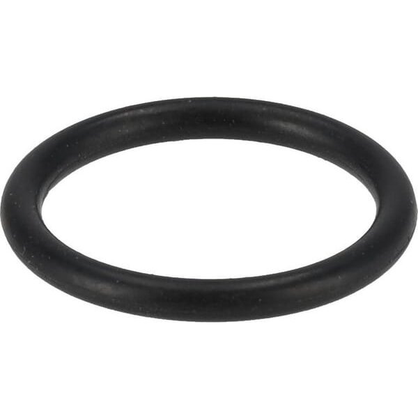 Fendt (AGCO) O-ring F339860060050