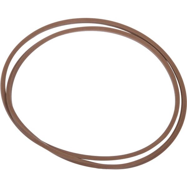 Raico Gasket 5169561N