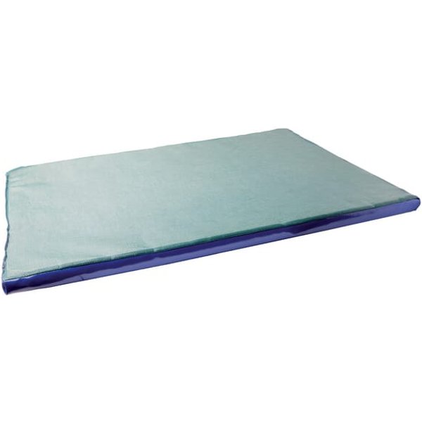 Unbranded Disinfection mat 1200 x 1,000 x 30 mm 1640452025