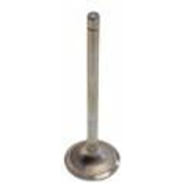 FPT Industrial Inlet valve 504387778FPT