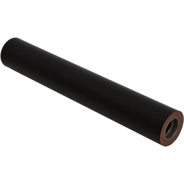 Ricoh AE020178 | Pressure Roller Assembly-image