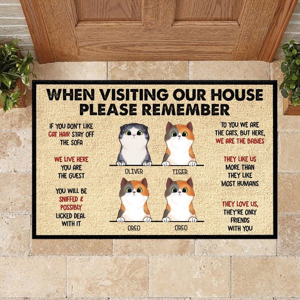 When Visiting My House Please Remember - Funny Personalized Cat Decorative Mat-image