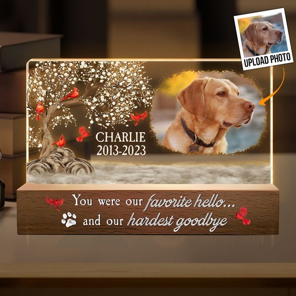 You Were My Favorite Hello And My Hardest Goodbye - Personalized Photo Led Night Light-image