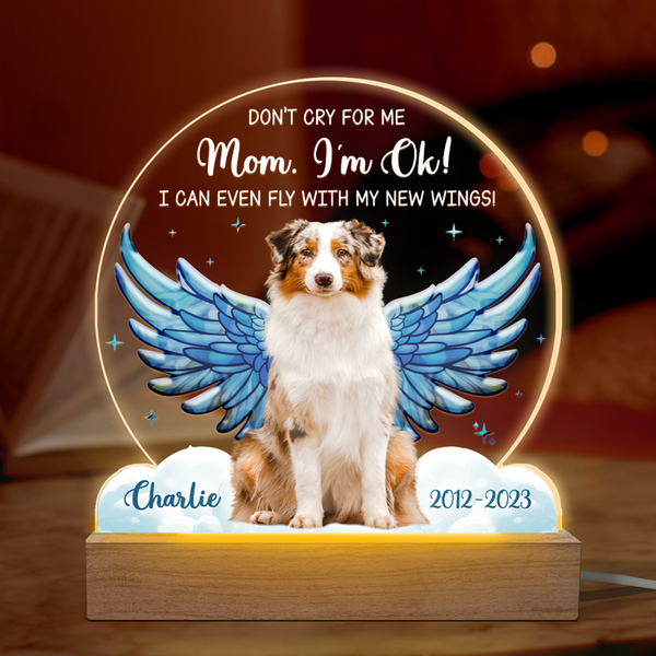 Custom Photo I Can Even Fly With My New Wings - Memorial Personalized Custom Shaped 3D Led Light - Sympathy Gift For Pet Owners, Pet Lovers-image