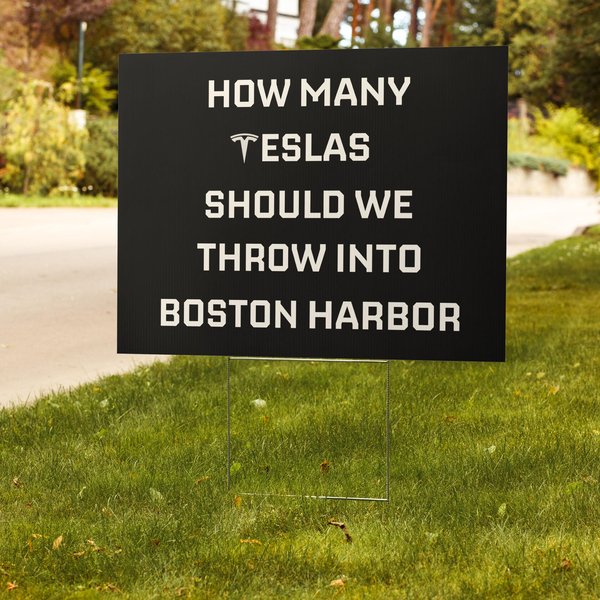 Protest Elon Musk And Donald Trump Yard Sign-image