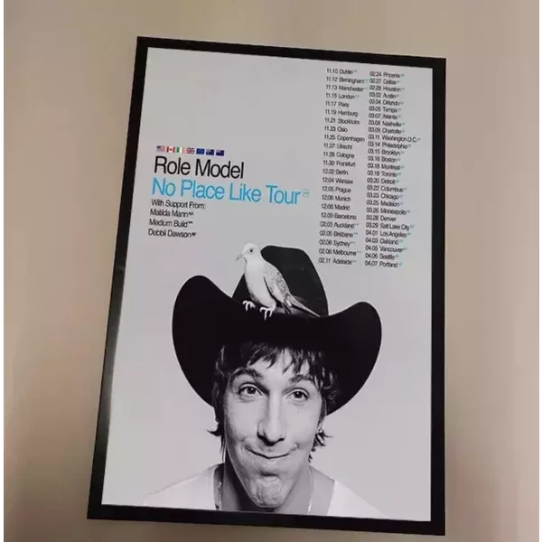 Role Model 2024-2025 Tour Poster-image