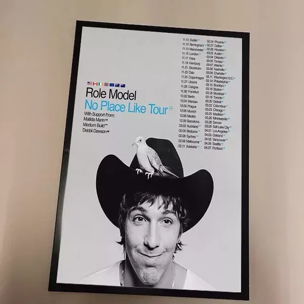 Role Model 2024-2025 Tour Poster, Concert Wall Art, Home Decor, Music Poster-image