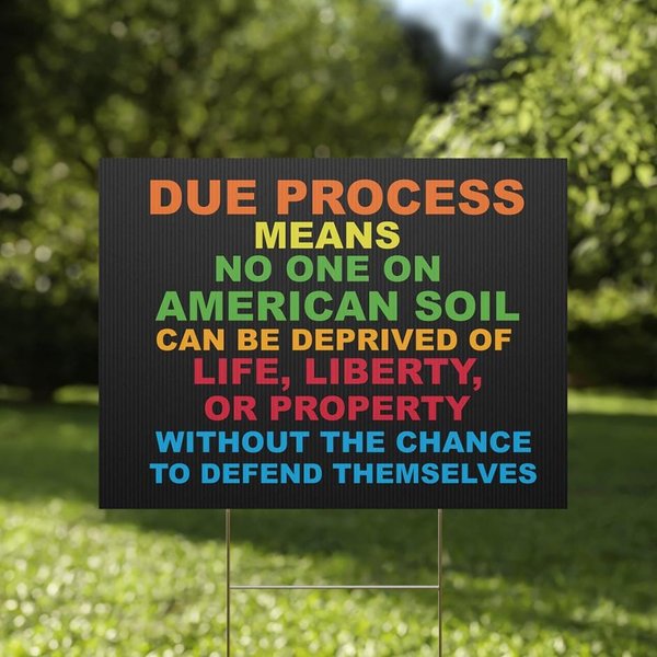 Due Process Yard Sign (24X18), (12X18) - Anti-Authoritarian, Save Democracy-image