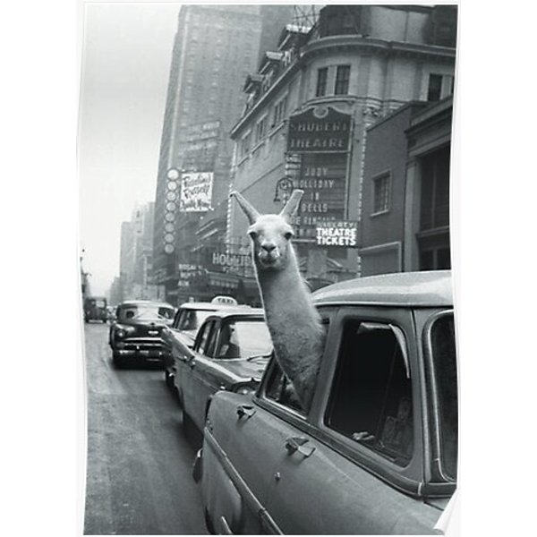 Llama In Nyc Premium Matte Vertical Poster-image