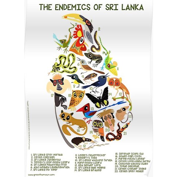 The Endemics Of Sri Lanka Premium Matte Vertical Poster-image