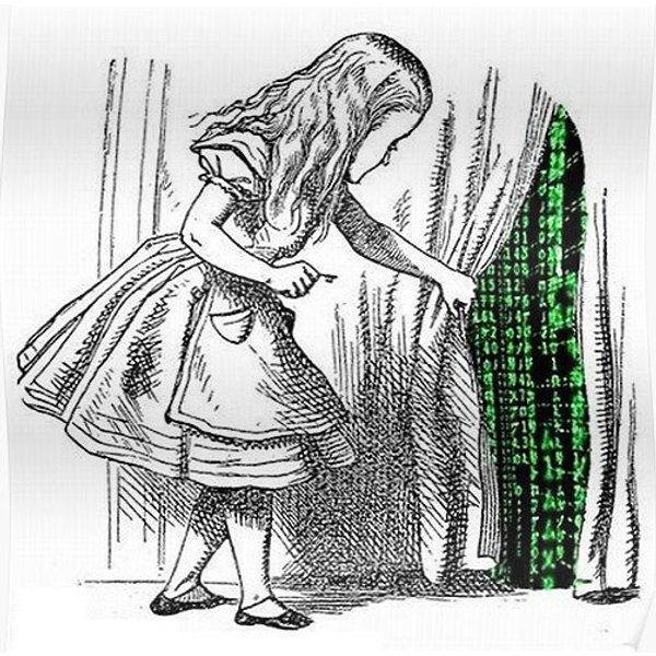 Alice In Matrix Premium Matte Vertical Poster-image