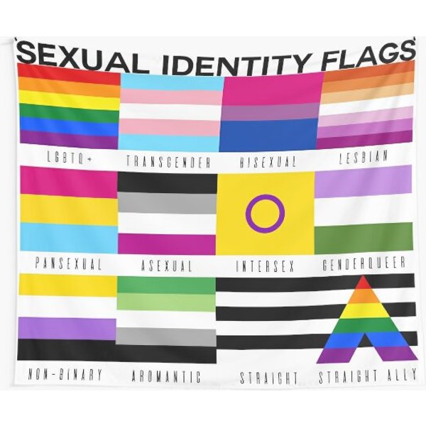 Sexual Identity Pride Flags, Lgbtq+ Pride Month Tapestry-image
