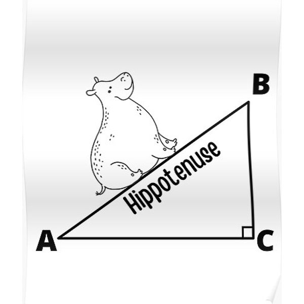 Hippotenuse Hippopotamus And Hypotenuse Funny Math Geometry Premium Matte Vertical Poster-image