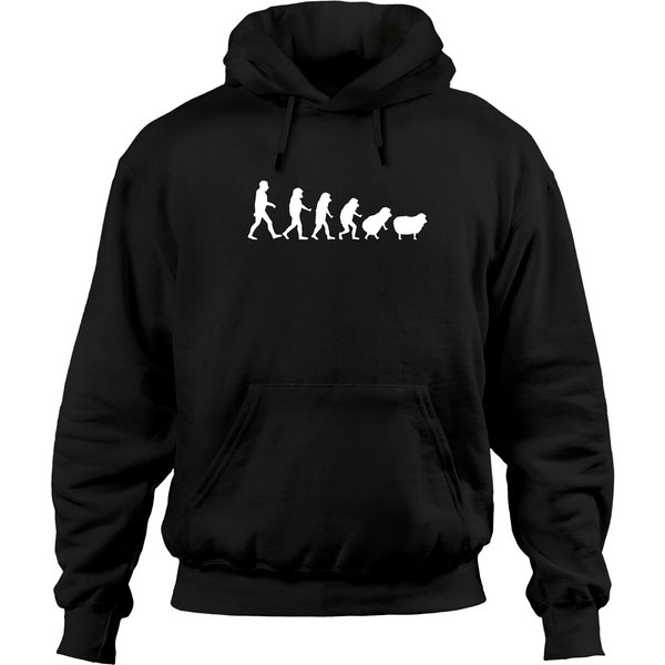 Conspiracy Theorist Human Evolution Wake Up Sheeple Sheep Hoodie-image