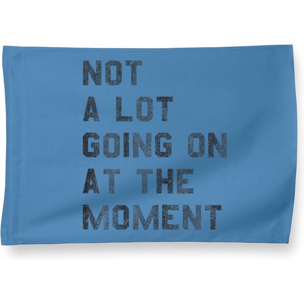 Vintage Not A Lot Going On At The Moment House Flags-image