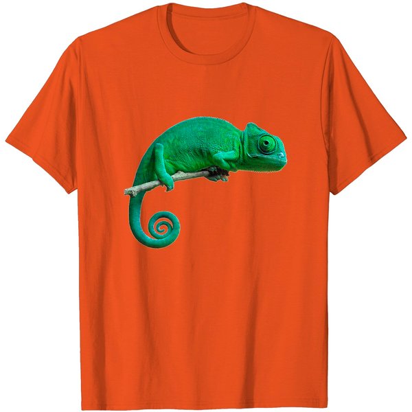 Chameleon T-Shirt Lizard Shirt Reptile Tee-image