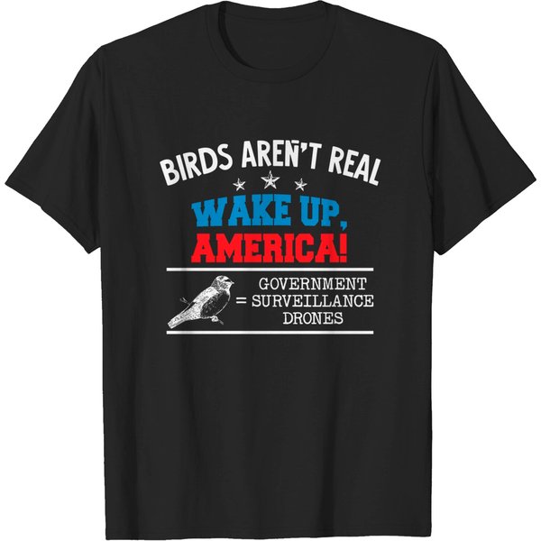 Birds Are Not Real Conspiracy Theory Drones Spies Funny Bird Premium T-Shirt-image