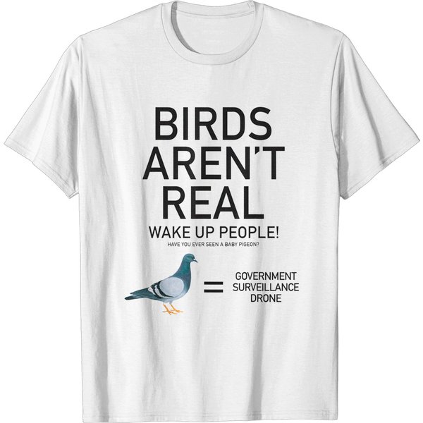 Birds Are Not Real Bird Spies Conspiracy Theory Birds T-Shirt-image
