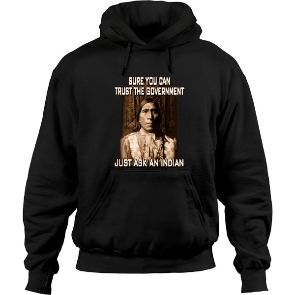 Sure You Can Trust The Government Hoodies-image