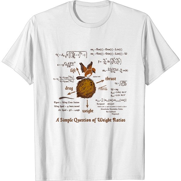 A Simple Answer - Monty Python And The Holy Grail - T-Shirt-image