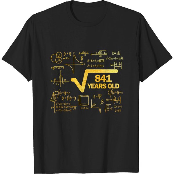 Square Root 841 Birthday Mathematic 29 Years Old T-Shirt-image