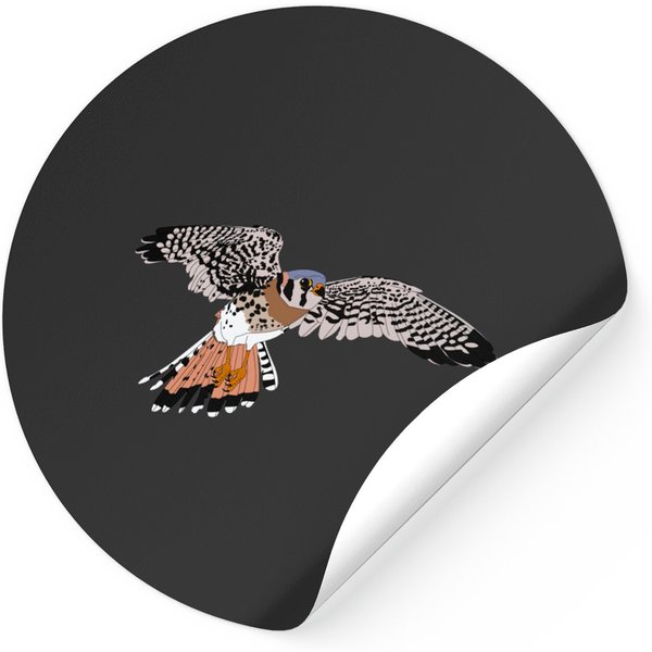 American Kestrel - American Kestrel - Stickers-image