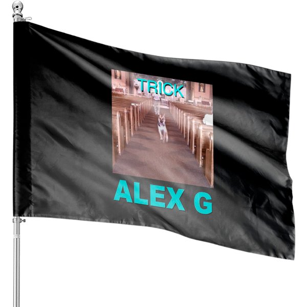Alex G Sandy Trick House Flags Merch Tour-image