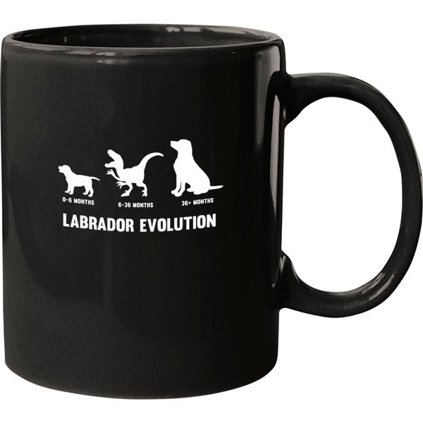 Labrador Retriever Evolution Design For A Labrador Owner Mugs-image