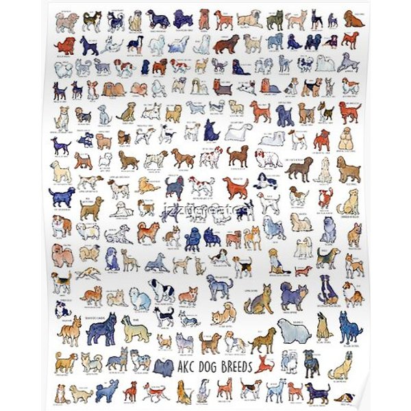 Every Akc Dog Breed Premium Matte Vertical Poster-image