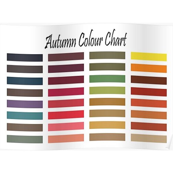 Autumn Color Swatch (color Me Beautiful) - Color Palette Seasonal Premium Matte Vertical Poster