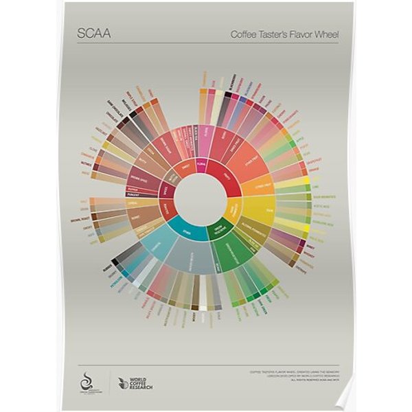 Popchart Wheel;Coffee Poster Premium Matte Vertical Poster-image