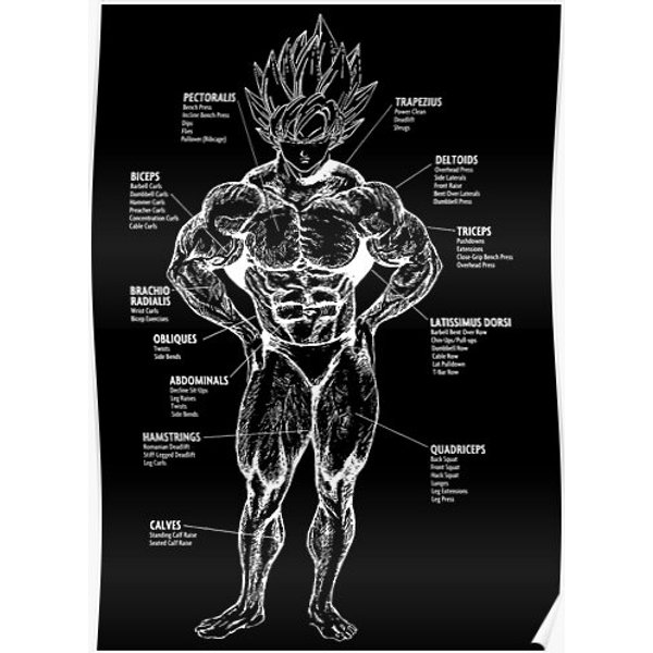 Goku Muscle Chart Anatomy Diagram - Anime Workout Premium Matte Vertical Poster-image