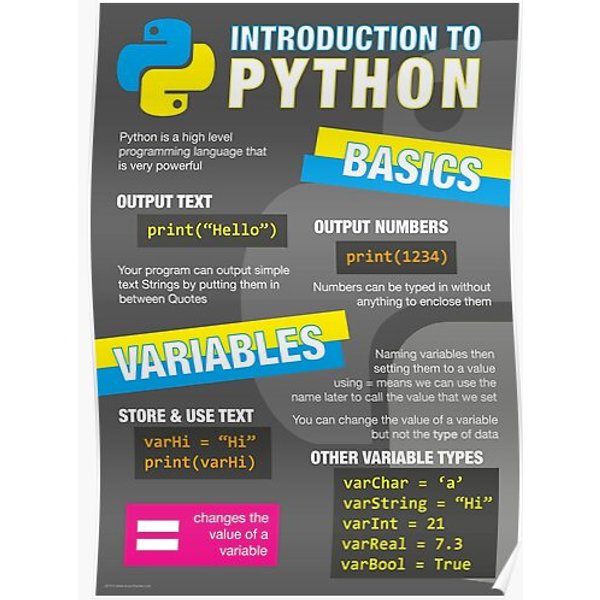 Intro To Python Poster (Computer Science Gcse) #1 Premium Matte Vertical Poster-image