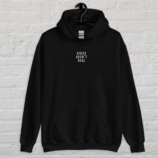 Birds Aren't Real Hoodie - Conspiracy Theories Gift - Embroidered Hoodie-image