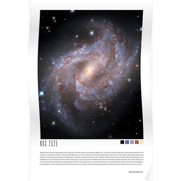 Ngc 2525 (Hubble Space Telescope) Premium Matte Vertical Poster-image
