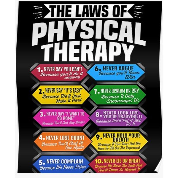 The Laws Of Physical Therapy Awesome Therapist Gift Premium Matte Vertical Poster-image