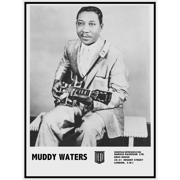 Muddy Waters 18"X24" Promo Photo Poster-image