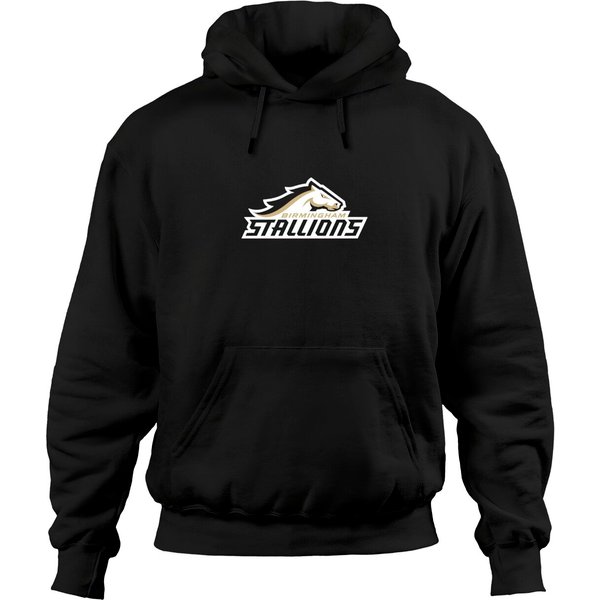 Birmingham Stallions 4 Hoodies-image
