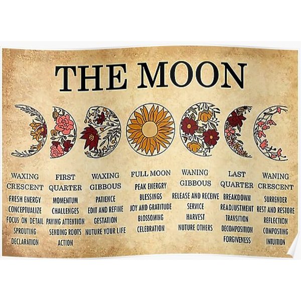 The Moon Phase Meanings Witchcraft Premium Matte Vertical Poster-image