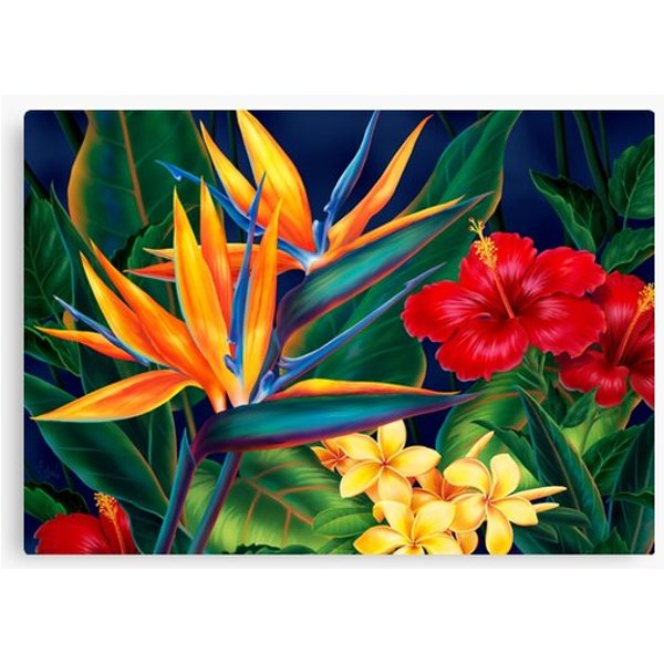Tropical Paradise Hawaiian Birds Of Paradise Illustration Canvas
