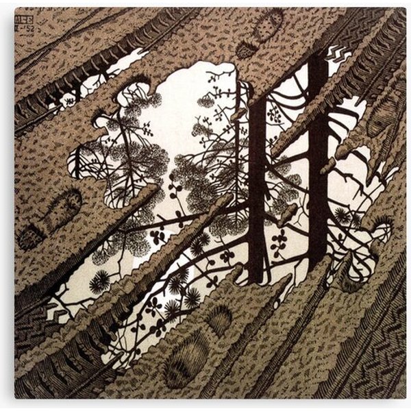 Escher Canvas, Escher Canvas-image