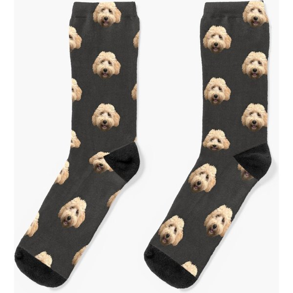 Rosie The Goldendoodle Socks