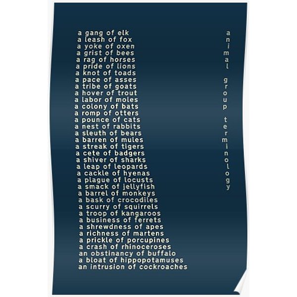 Animal Group Terminology Poster Premium Matte Vertical Poster-image