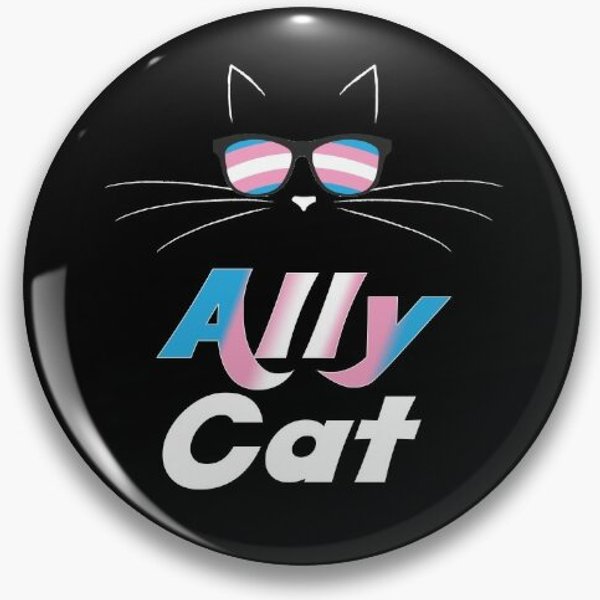 Trans Ally Cat Gay Pride Kitty Trans Pride Pin Button-image