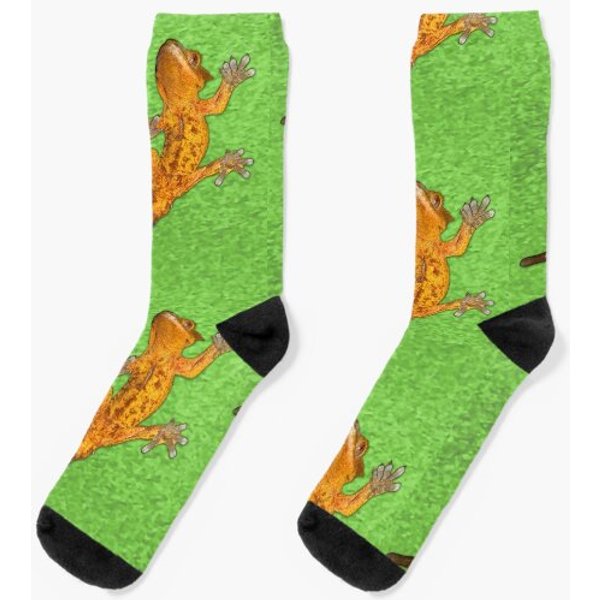 Crested Gecko Socks-image